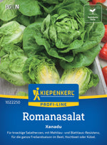Kiepenkerl Kopfsalat Xanadu