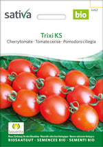 Sativa Cherrytomate Trixi KS