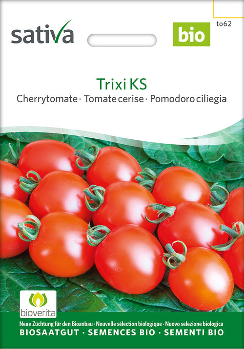 Sativa Cherrytomate Trixi KS