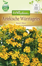 N.L. Chrestensen Tagetes Aztekische Würztagetes, Sweet Mace