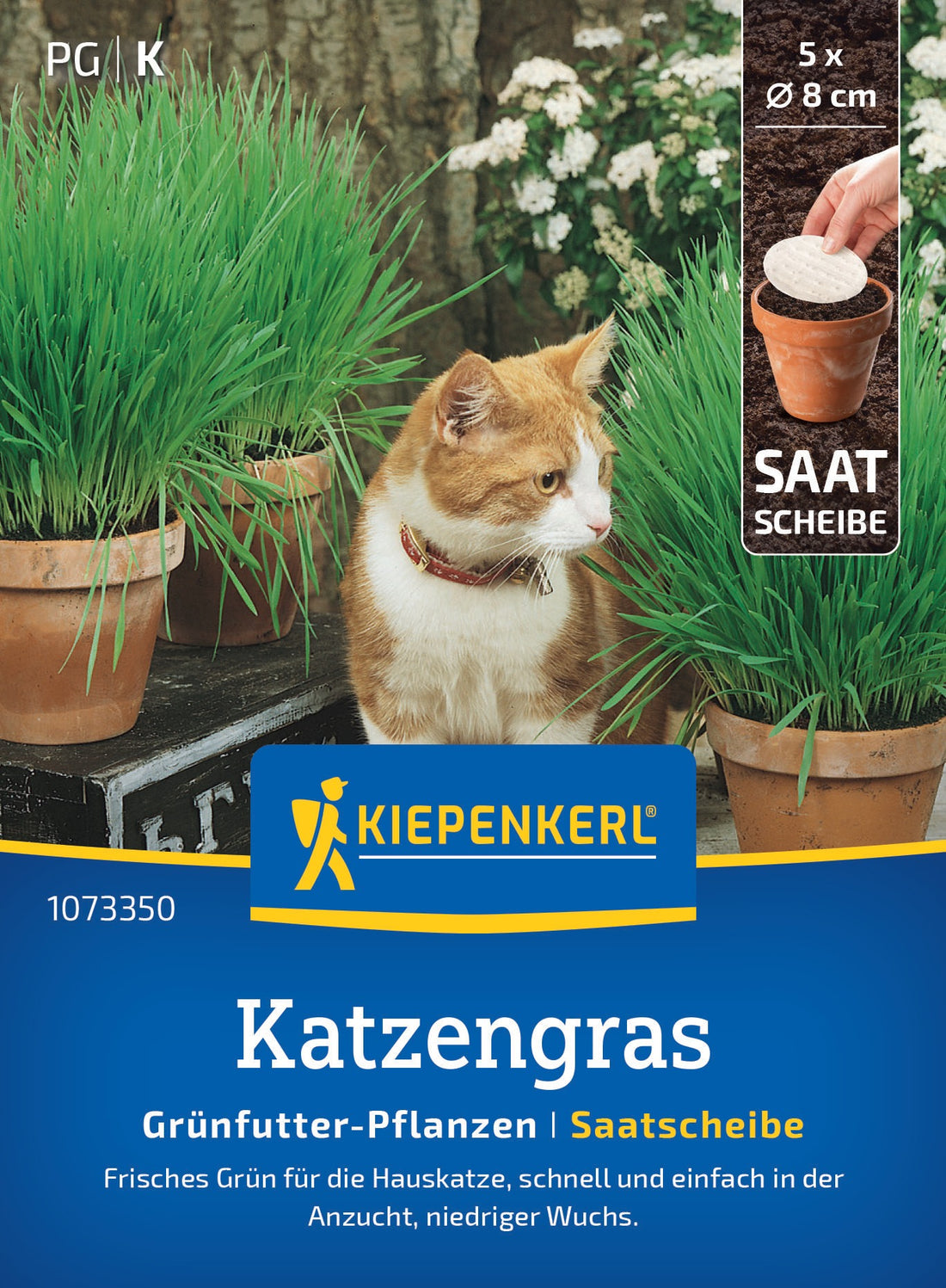 Kiepenkerl Gräser Katzengras Frischgrün Mischung Saatscheibe