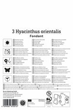 Hyazinthe Fondant