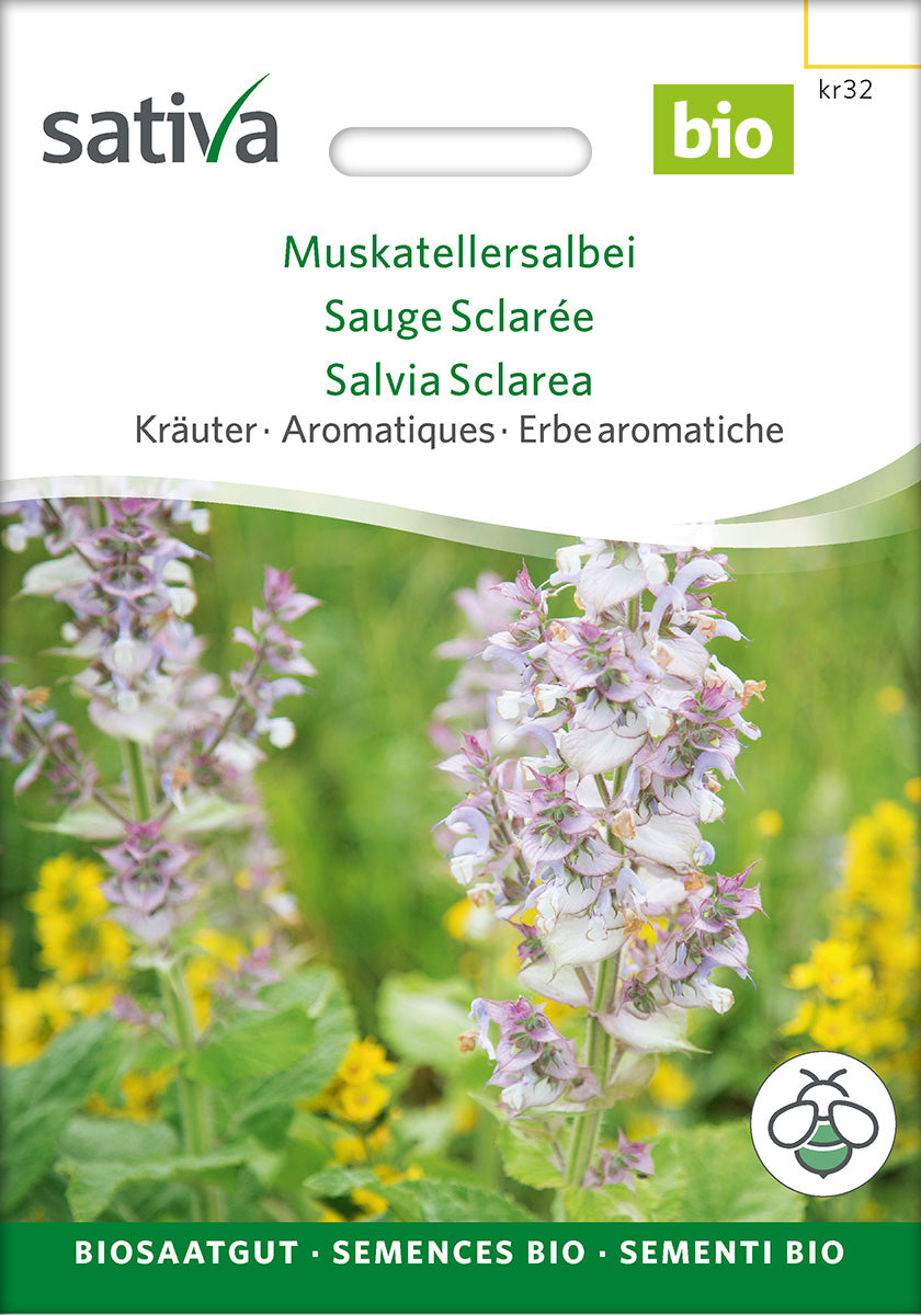 Sativa Muskatellersalbei