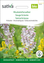 Sativa Muskatellersalbei