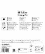Mega-Pack Botanischer Tulpen Balkonzauber Mix