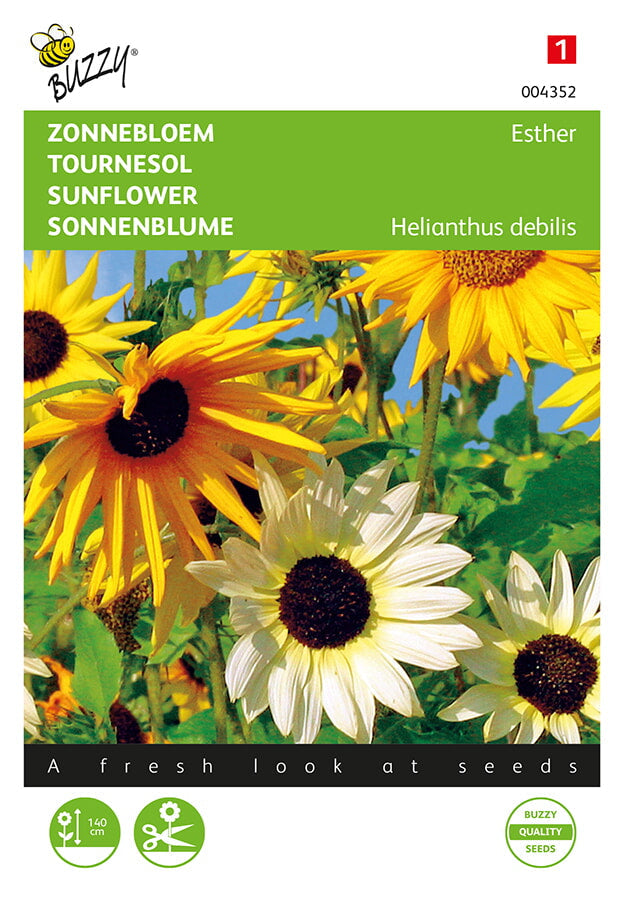Buzzy Seeds Sonnenblumen Esther