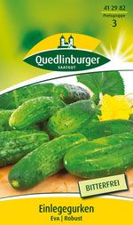 Quedlinburger Freiland-Einlegegurke Eva