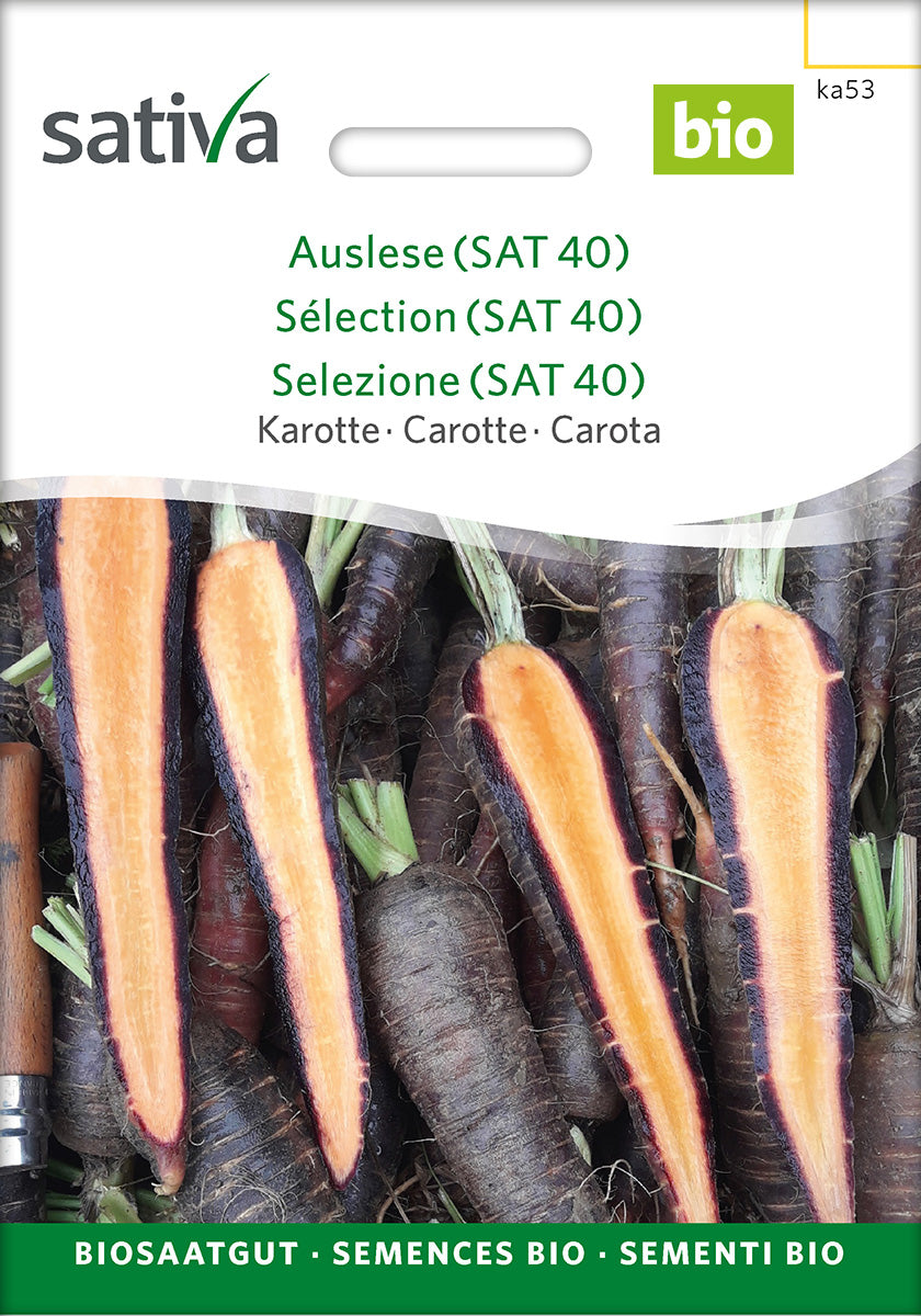 Sativa Karotte Auslese (SAT 40)