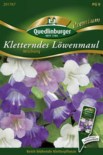 Quedlinburger Löwenmaul Mischung
