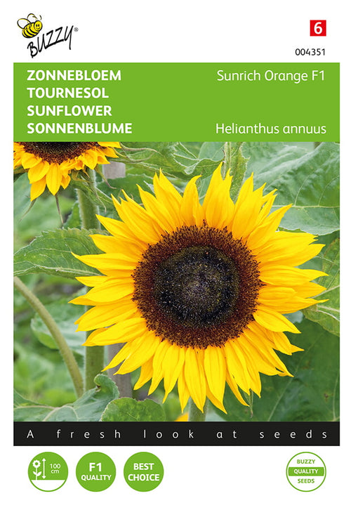 Buzzy Seeds Sonnenblumen Sunrich Orange F1
