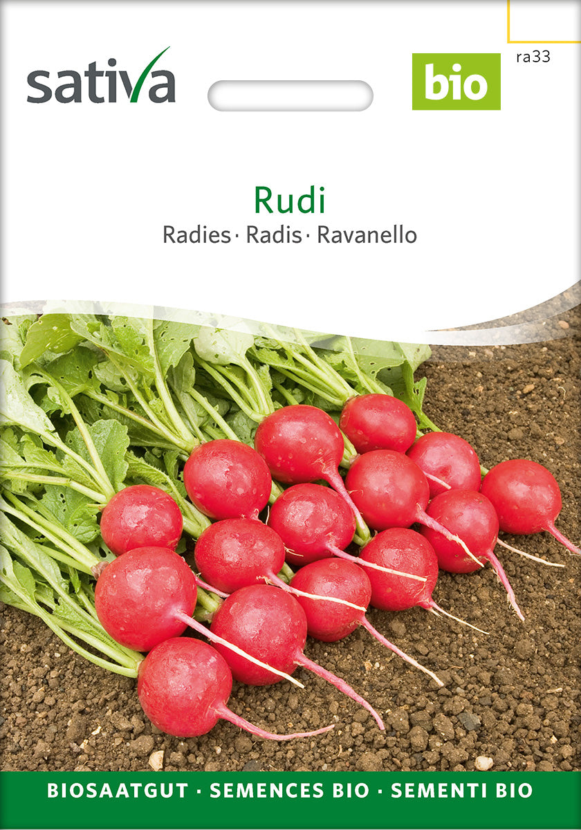 Sativa Radies Rudi