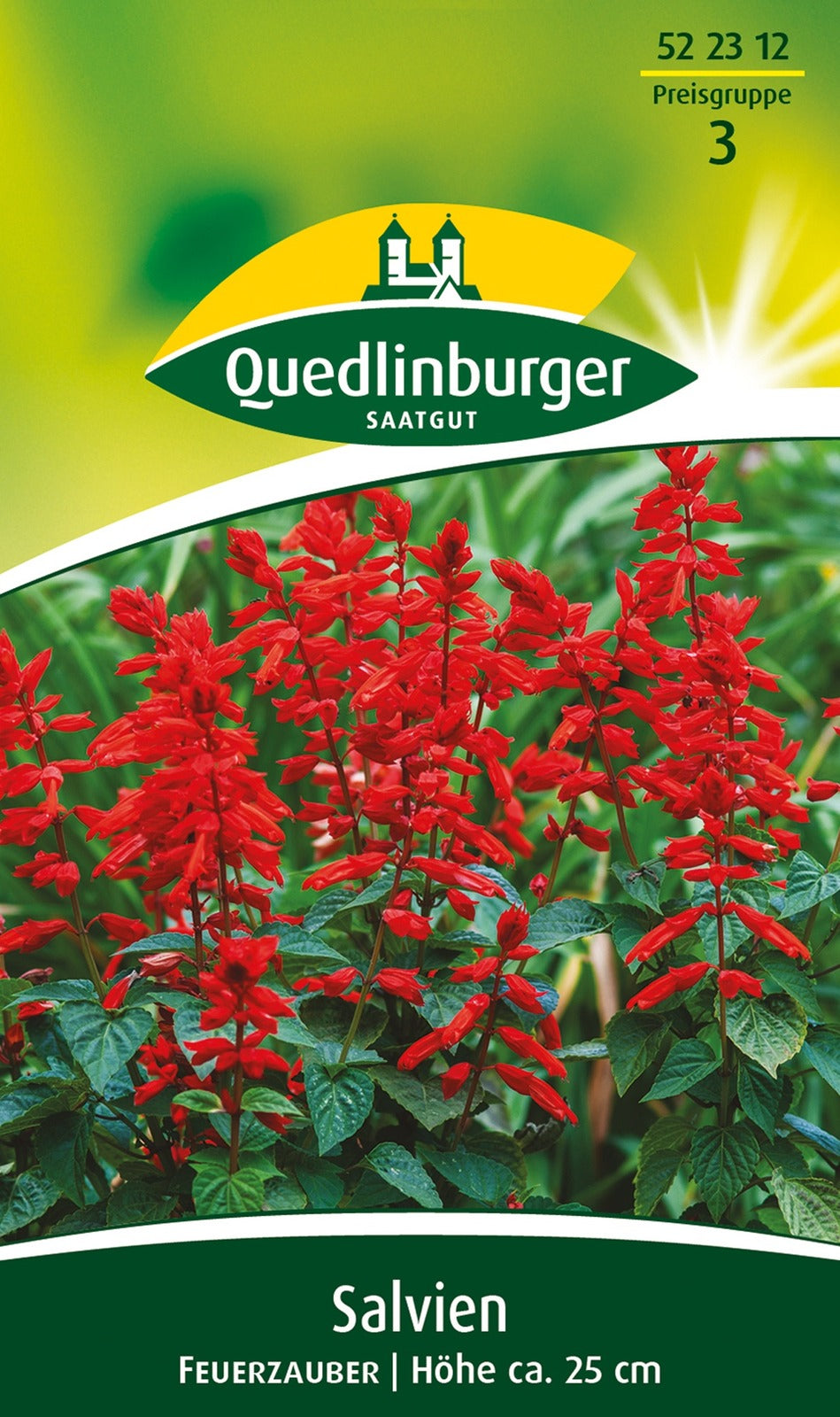 Quedlinburger Salvie Feuerzauber, rot