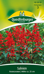 Quedlinburger Salvie Feuerzauber, rot