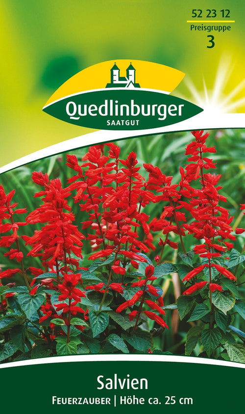 Quedlinburger Salvie Feuerzauber, rot