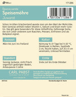 Pabst Keimkraft Möhren Juwarot