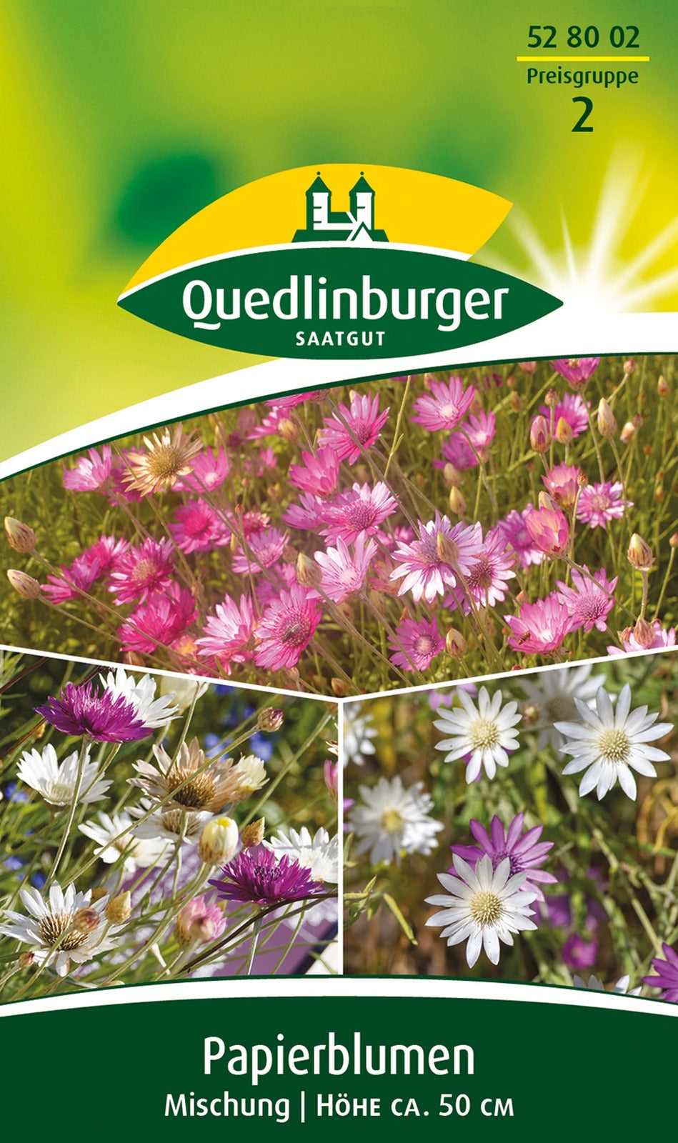Quedlinburger Papierblume für Floristik Mischung