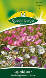 Quedlinburger Papierblume für Floristik Mischung