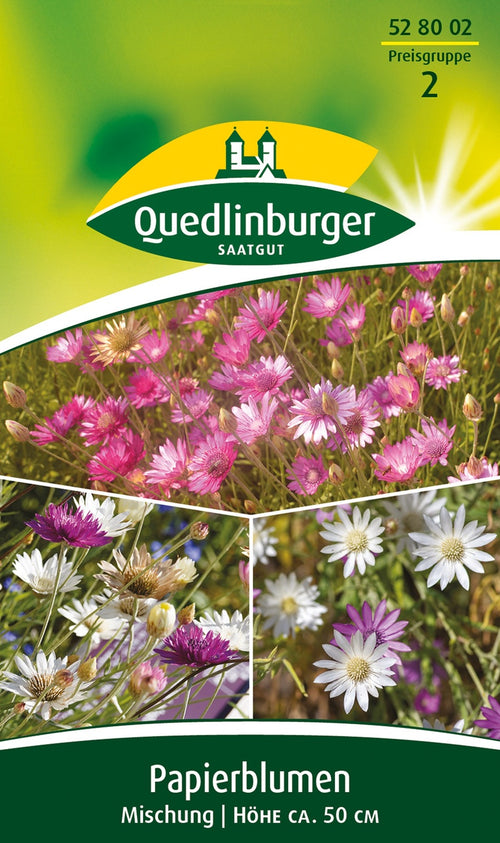 Quedlinburger Papierblume für Floristik Mischung