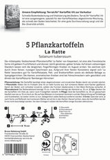 Kiepenkerl Pflanzkartoffel La Ratte 5 Stück