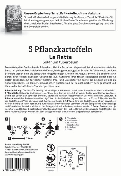 Kiepenkerl Pflanzkartoffel La Ratte 5 Stück