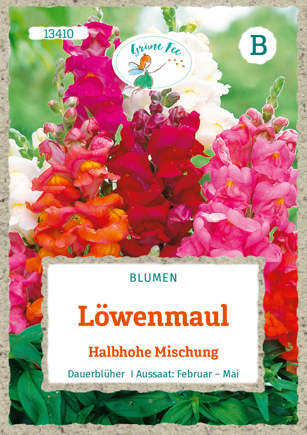 Grüne Fee Löwenmäulchen Halbhohe Mischung