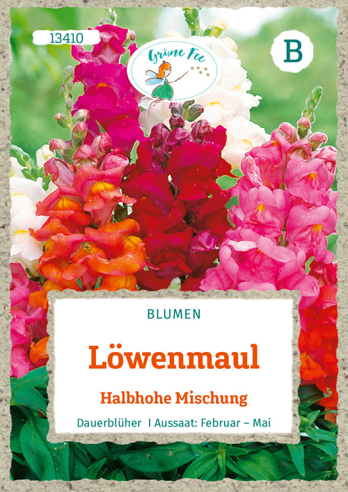 Grüne Fee Löwenmäulchen Halbhohe Mischung