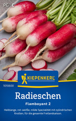 Kiepenkerl Radieschen Flamboyant 2