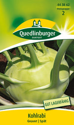 Quedlinburger Kohlrabi Gigant