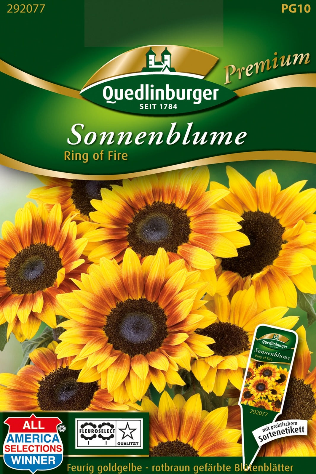 Quedlinburger Sonnenblume Ring of Fire