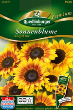 Quedlinburger Sonnenblume Ring of Fire