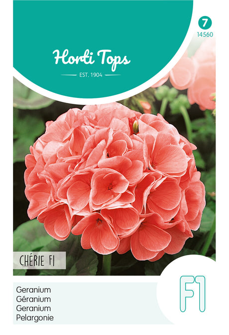 Horti Tops Pelargonie Chérie Salmon