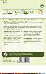 N.L. Chrestensen Strohblume Großblumige Mischung