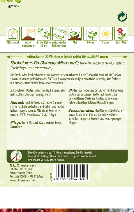 N.L. Chrestensen Strohblume Großblumige Mischung
