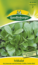 Quedlinburger Feldsalat Holländischer breitblättriger