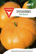 Frankonia Samen Kürbis Gele Reuzen