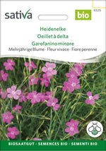 Sativa Heidenelke