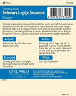 Pabst Keimkraft Schwarzäugige Susanne Gelb