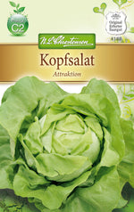 N.L. Chrestensen Kopfsalat Attraktion