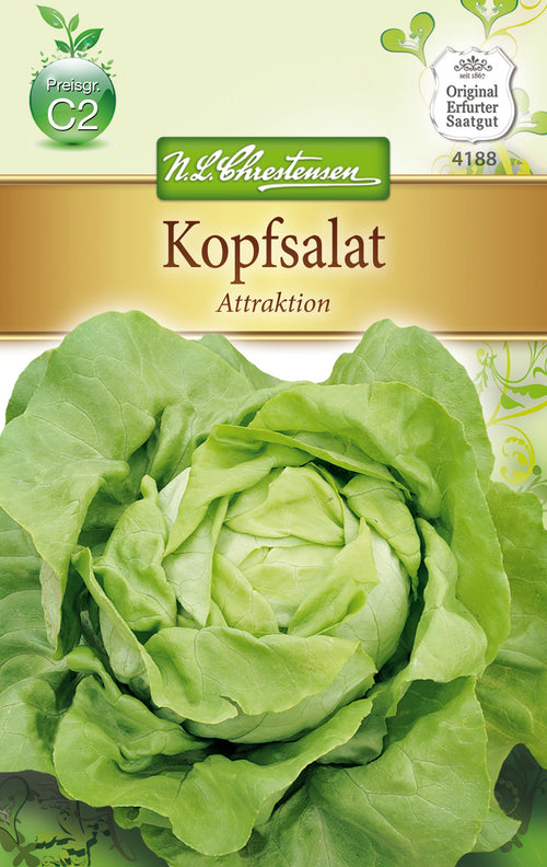 N.L. Chrestensen Kopfsalat Attraktion