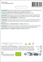 Sativa Blumenkohl Amabile KS