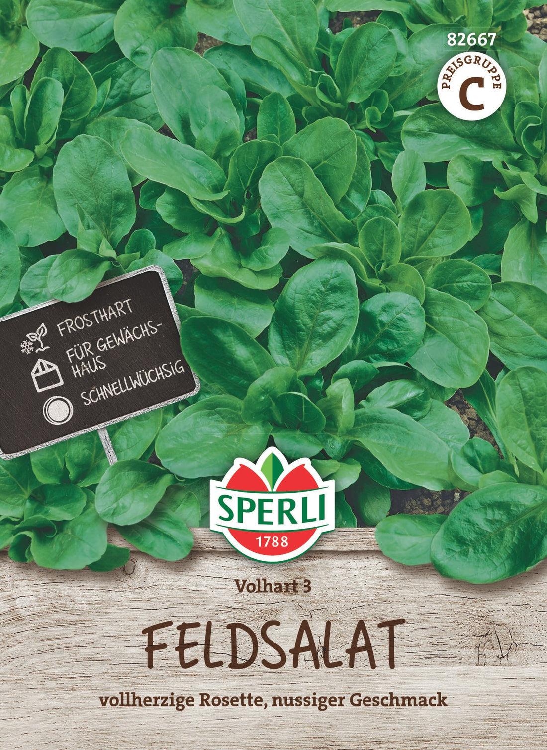 SPERLI Feldsalat Volhart 3