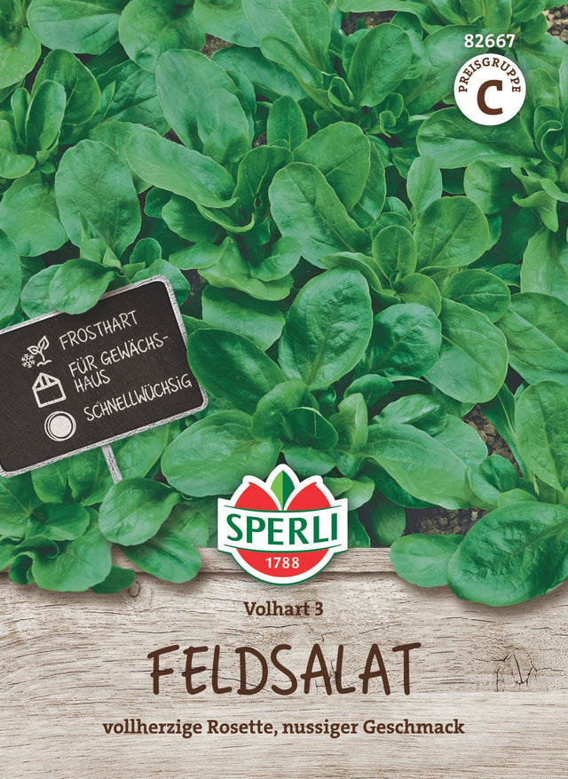 SPERLI Feldsalat Volhart 3