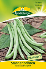 Quedlinburger Stangenbohne Mombacher Speck