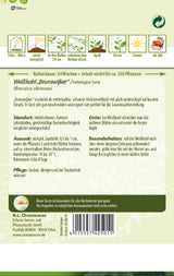 N.L. Chrestensen Weißkohl Brunswijker