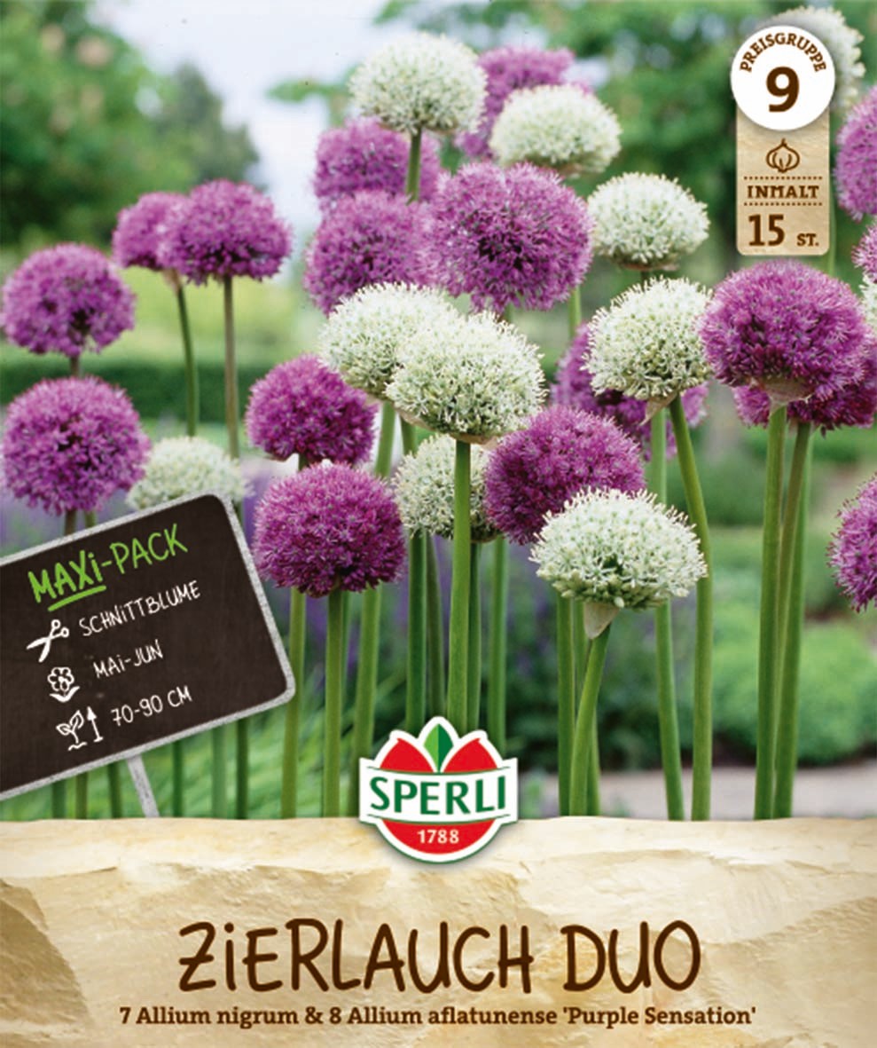 Maxi Zierlauch Duo