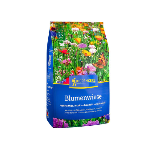 Kiepenkerl Blumenwiese Blumen-Wiese 250 g
