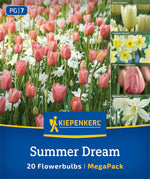 Mega Pack Summer Dream