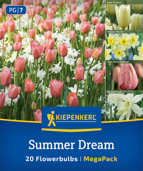 Mega Pack Summer Dream
