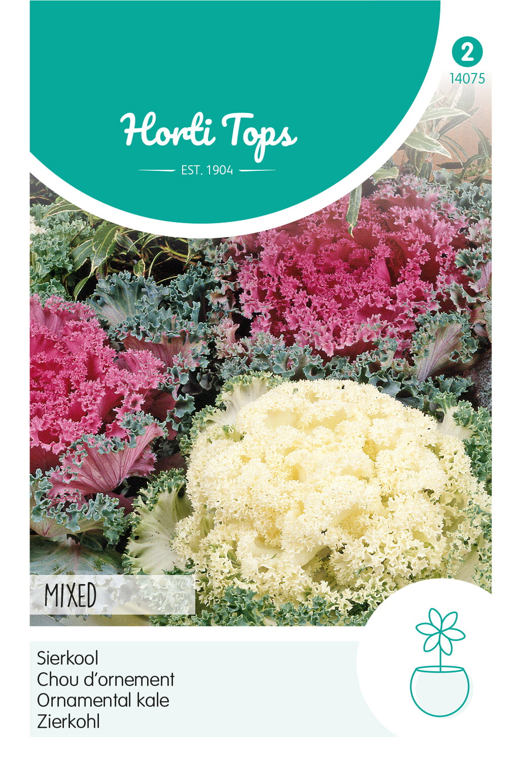 Horti Tops Zierkohl Mischung