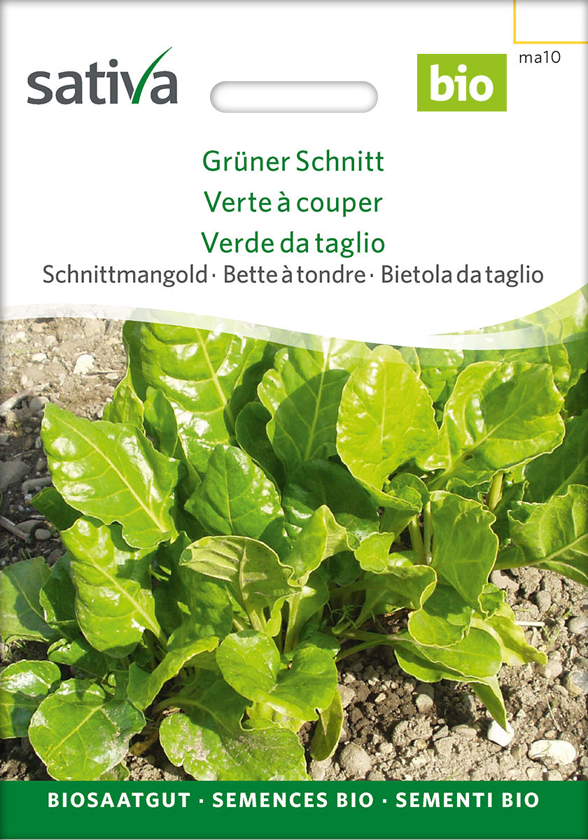 Sativa Schnittmangold Grüner Schnitt